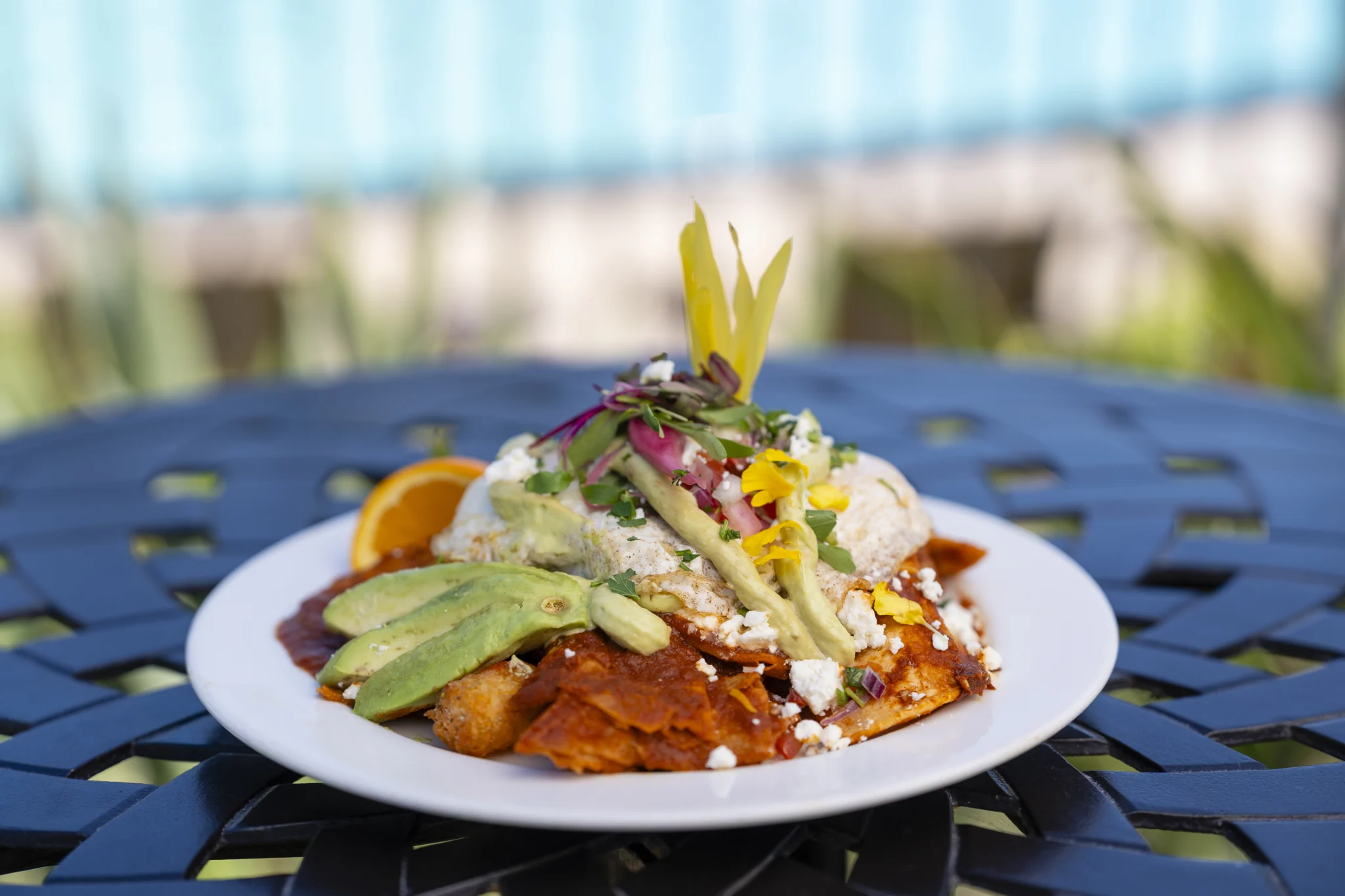 Breakfast chilaquiles poolside