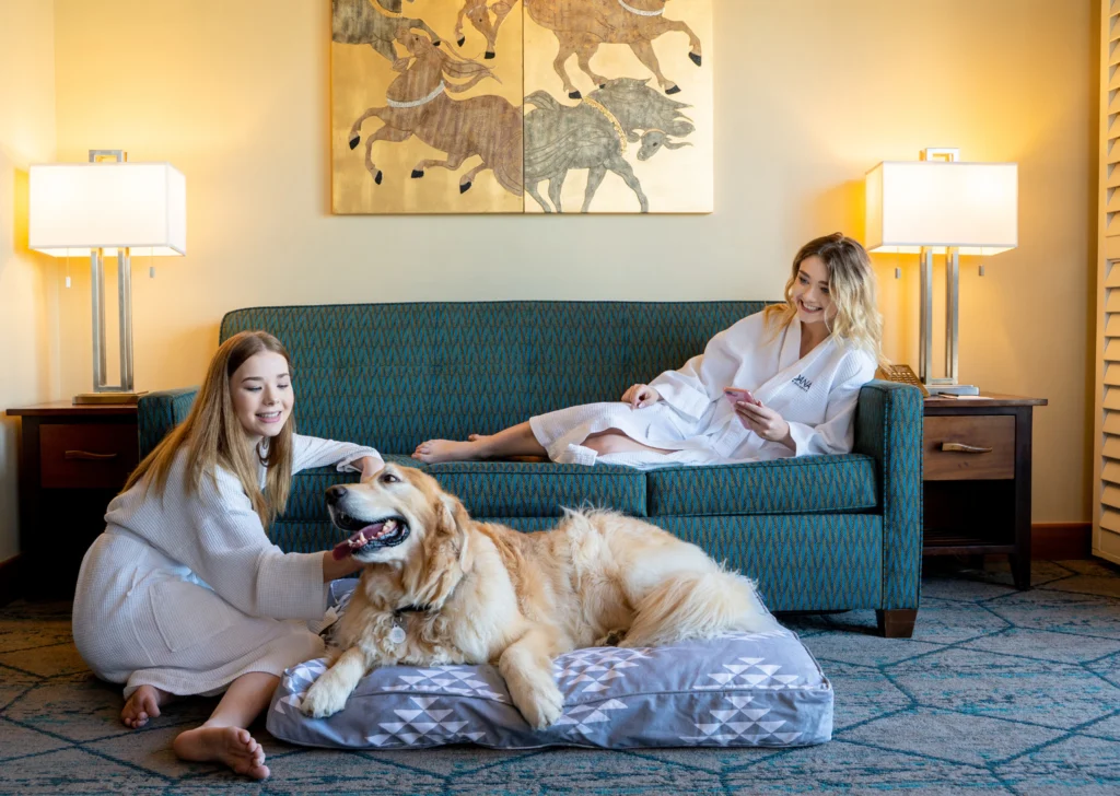 guests with their dog in a dog friendly room