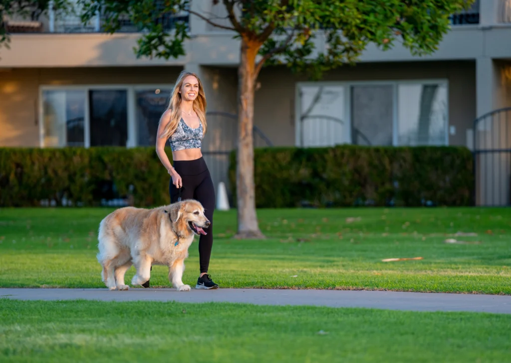 guest walking a dog