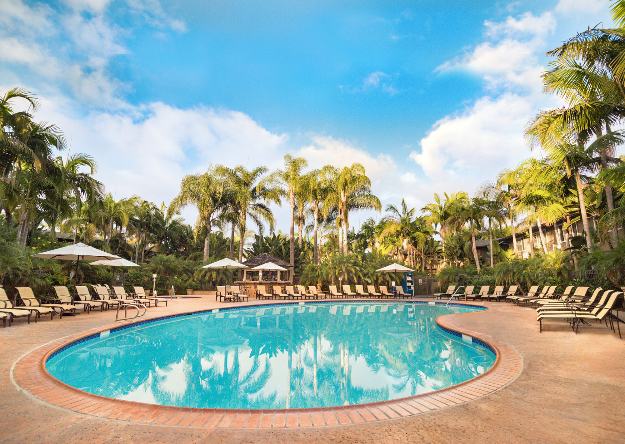 Tropical Pool