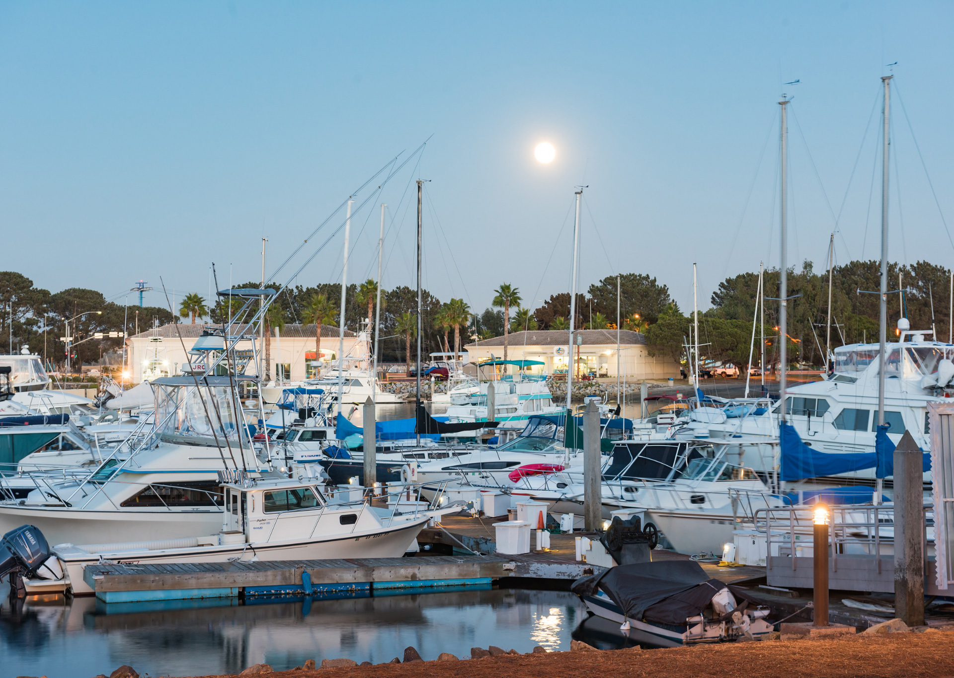 Dana Marina at night