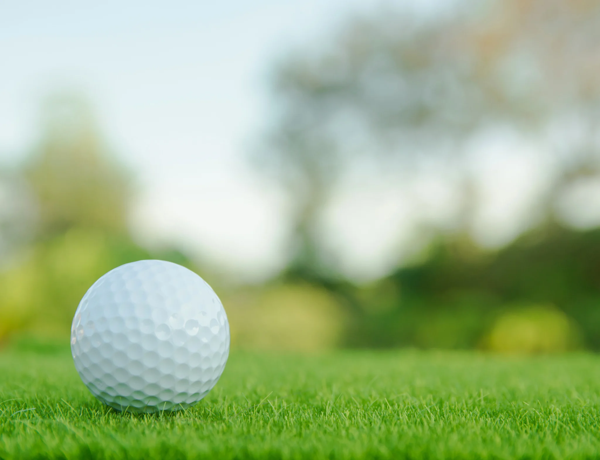 a golf ball lying in the grass