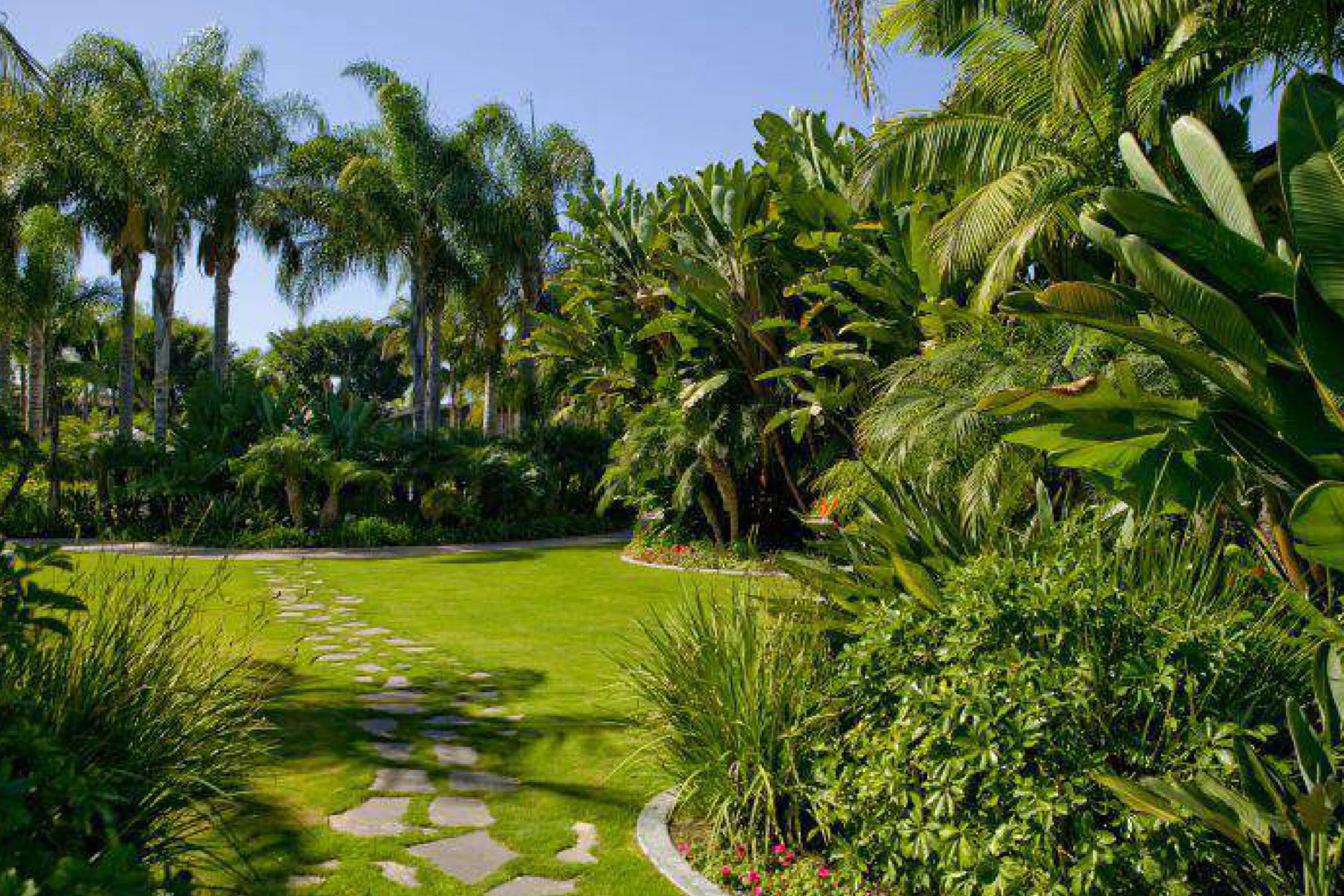 Tropical Courtyard