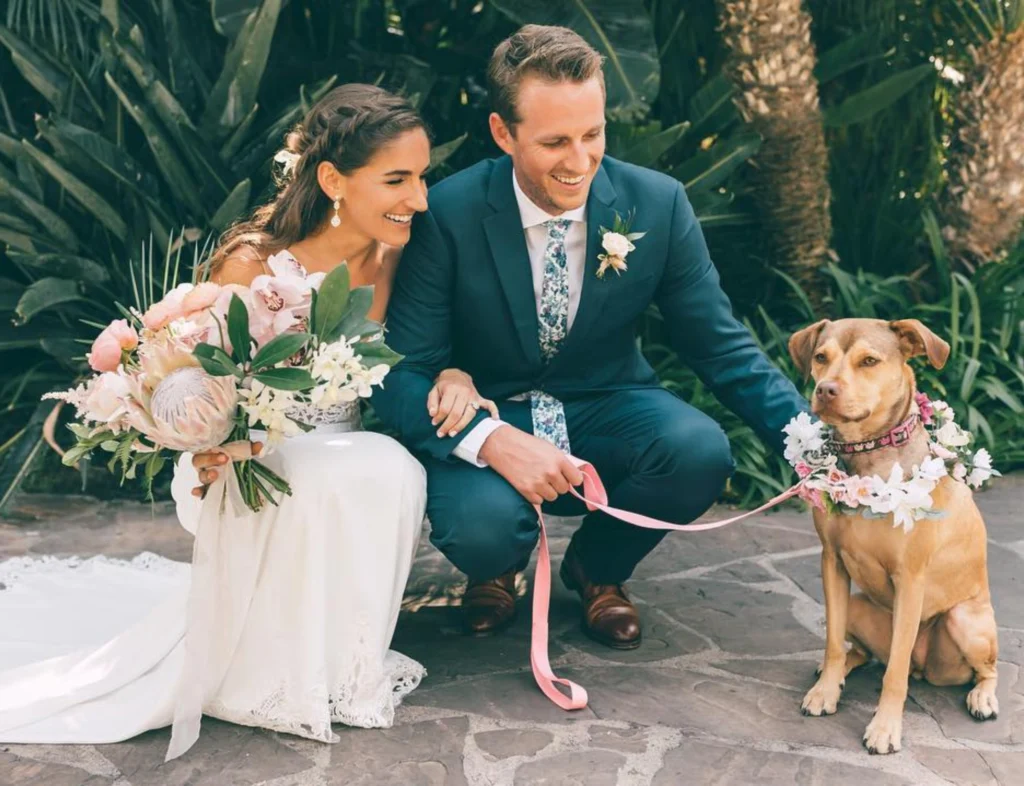 dog friendly weddings