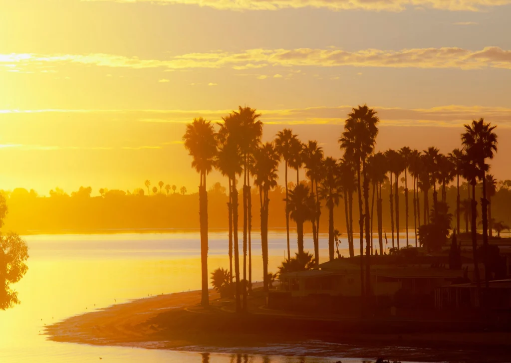 Sunset over the bay with palm trees in the forground