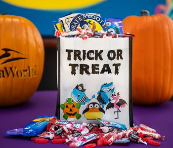 Trick or treat bag with treats