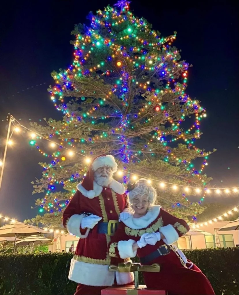 Santa and Mrs Claus