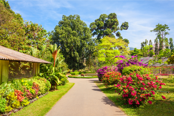 Botanical garden walkway