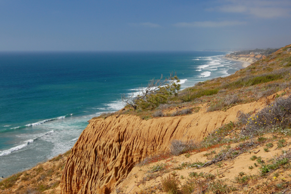 Cliffside at Torrey Pines Reserve