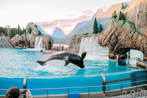 SeaWorld San Diego