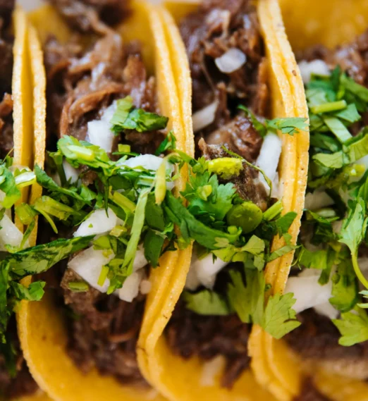 Guide to the Best Taco Shops in San Diego