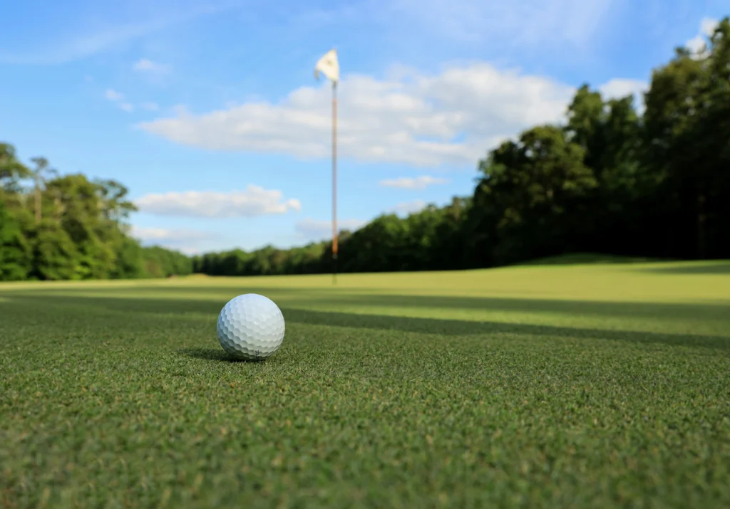 golf ball next to a hole