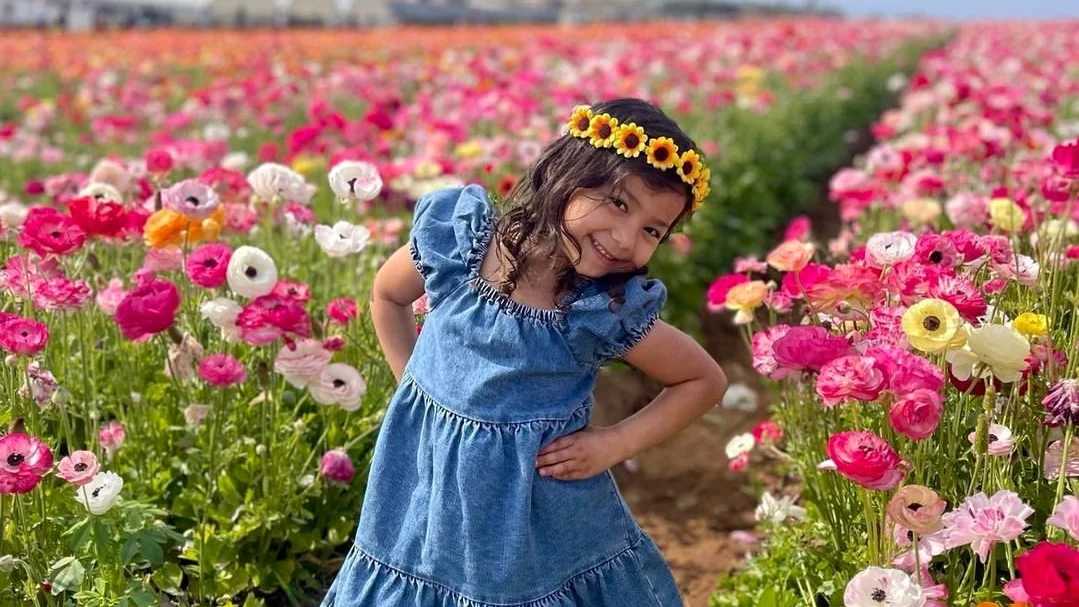 little girl standing at the Carlsbad Flower Fields
