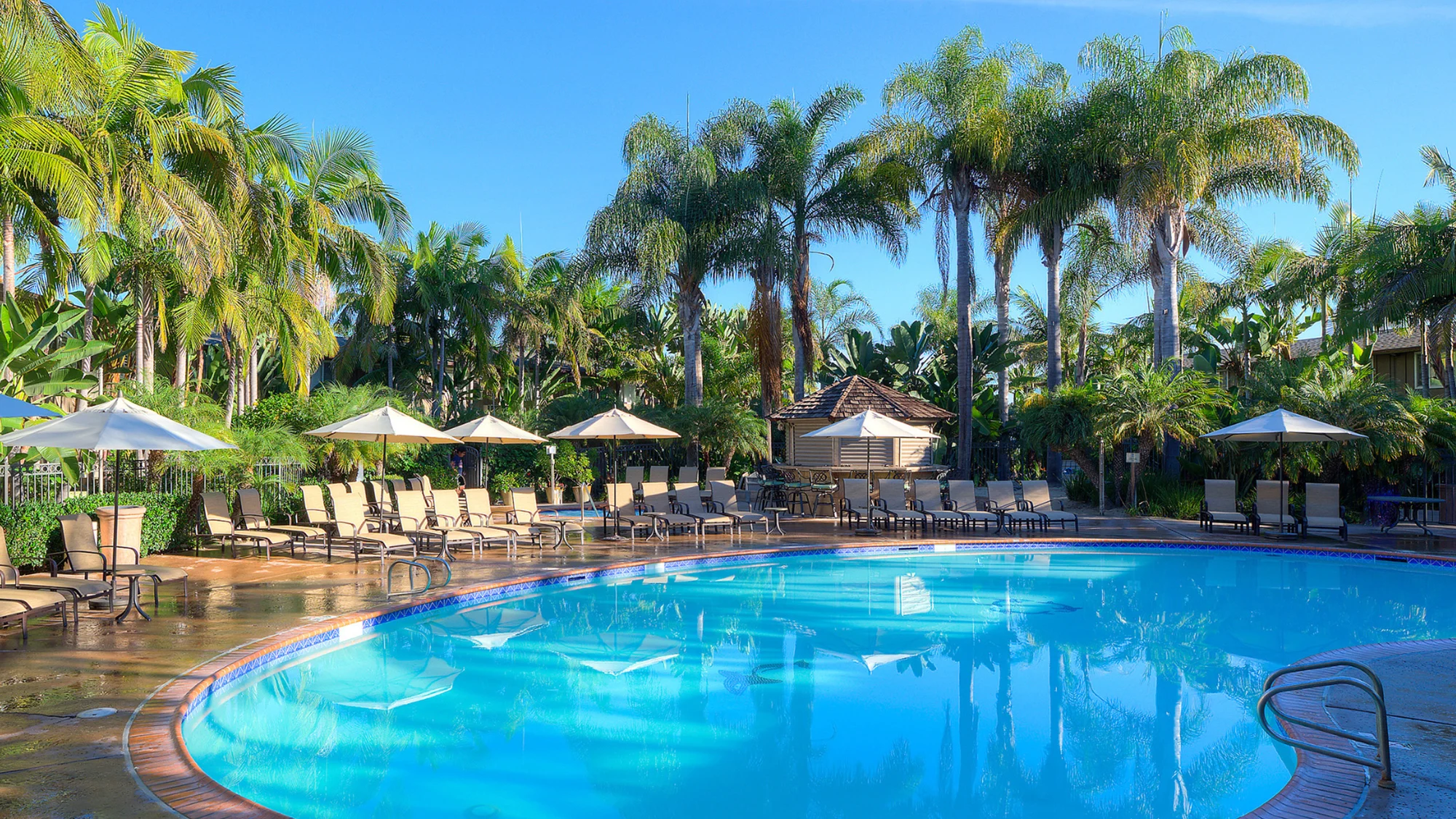 Tropical Pool