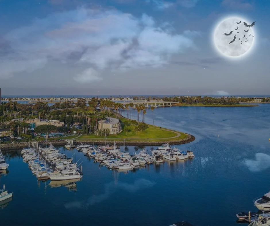 Halloween Graphic Aerial Image of Mission Bay & The Dana