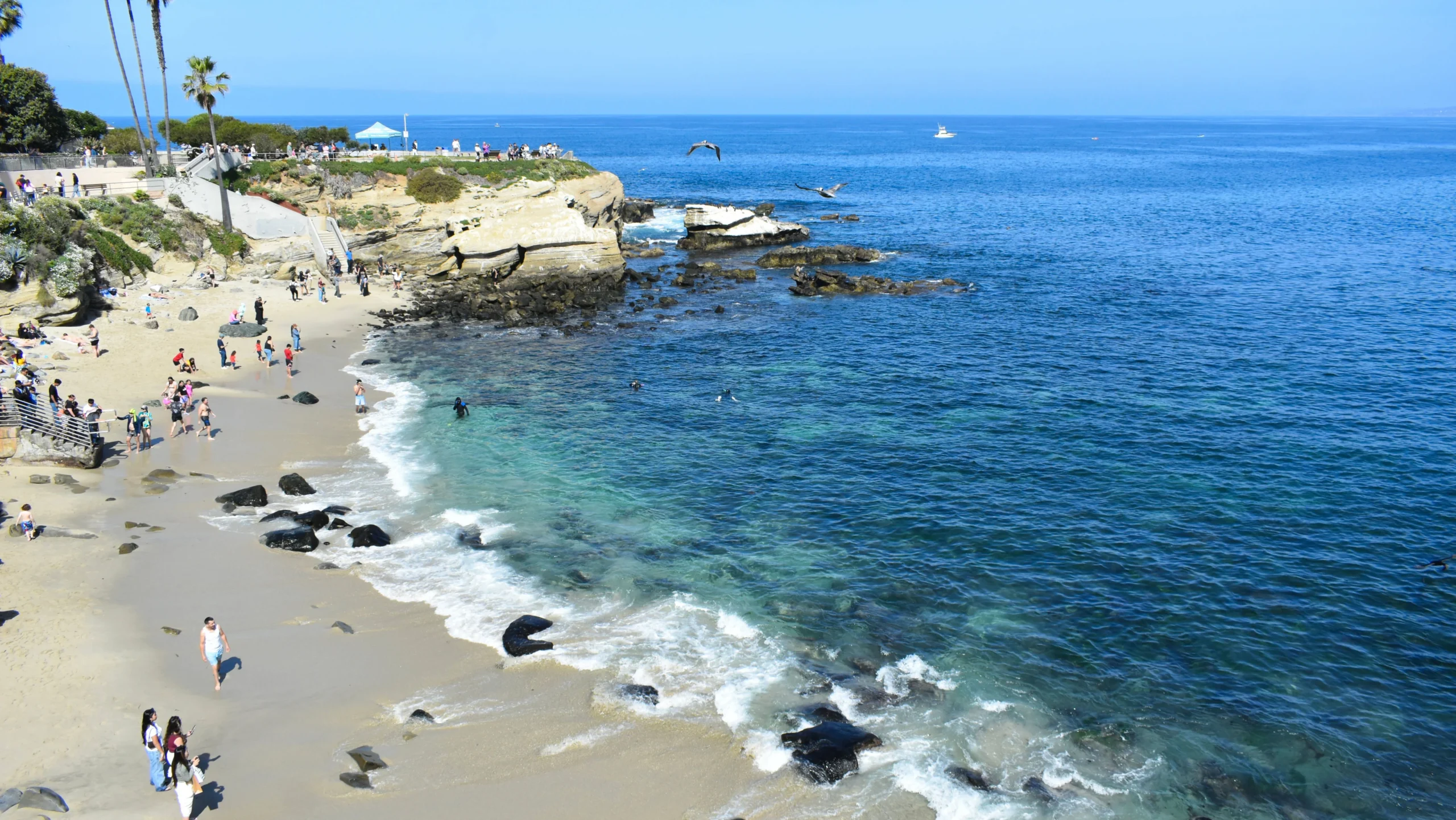La Jolla Cove